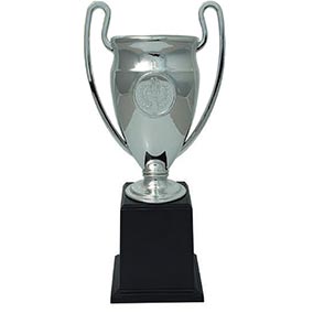 Euro Football Cup 245mm