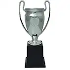 Euro Football Cup 245mm