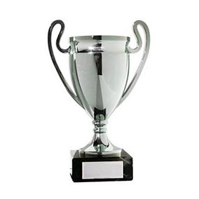 Silver Champs Football Cup 165mm