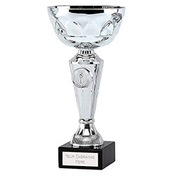 Silver Aim9 Cup 23cm