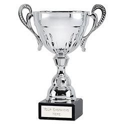 Silver Washington7 Cup 20cm