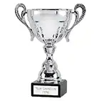 Silver Washington7 Cup 20cm