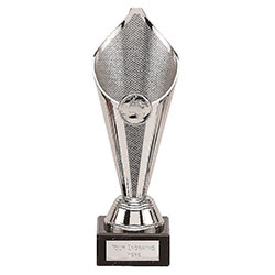 Silver  Eternal Flame Cup 22cm