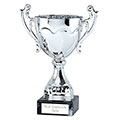 Silver  Sydney Cup  19cm