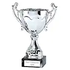 Silver Sydney Cup 19cm