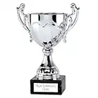 Silver Sydney Cup 23cm