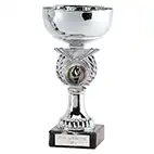 Silver Crusader Silver Cup 15cm