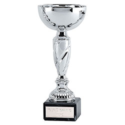 Silver Noble Cup 17cm