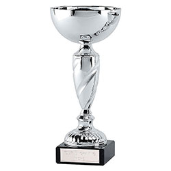 Silver Noble Cup 24cm