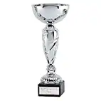 Silver Noble Cup 20cm