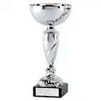 Silver Noble Cup 24cm