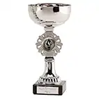 Silver Shield Silver Cup 26cm