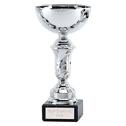 Silver Emblem Cup 20cm