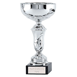 Silver Emblem Cup 23cm
