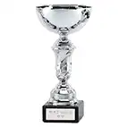 Silver Emblem Cup 20cm