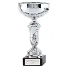 Silver Emblem Cup 23cm