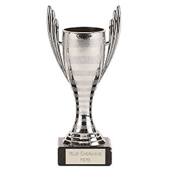 SIlver  Mercury Cup Silver Trophy  16cm