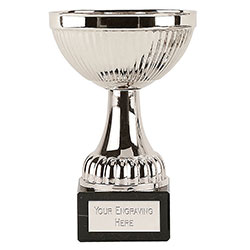 Silver  Berne Silver Cup  95mm