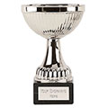 Silver  Berne Silver Cup  14cm