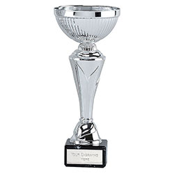 Silver  Torch Cup 22cm