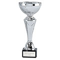 Silver  Torch Cup 22cm