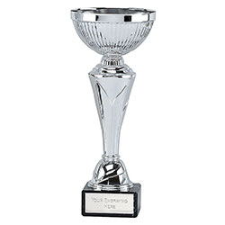 Silver  Torch Cup 24cm