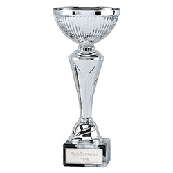 Silver  Torch Cup 28cm