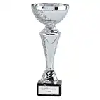 Silver Torch Cup 22cm