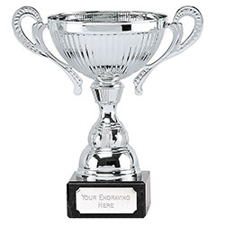 Silver  Turin Silver Cup  165mm