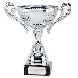 Silver Turin Silver Cup 23cm
