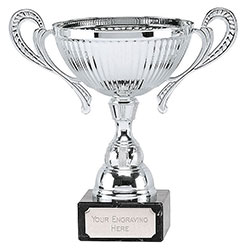Silver  Turin Silver Cup  23cm