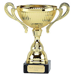 Gold  Turin Gold Cup 19cm