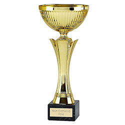 Gold Equity Gold Cup 27cm
