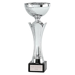 Silver Equity Silver Cup 235mm