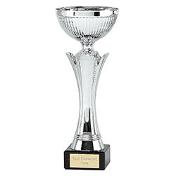 Silver Equity Silver Cup 255mm