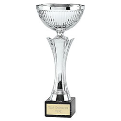 Silver Equity Silver Cup 27cm