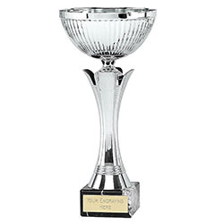 Silver Equity Silver Cup 30cm