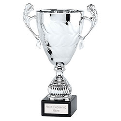 Silver Conqueror Cup  24cm