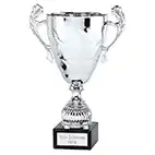 Silver Conqueror Cup  24cm