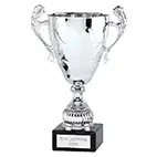 Silver Conqueror Cup  265mm