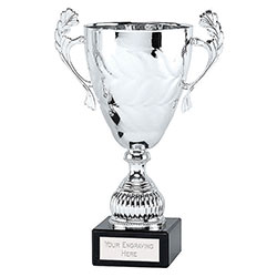 Silver Conqueror Cup  33cm