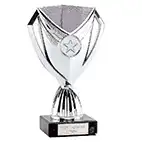 Silver Cape Cup Silver 17cm