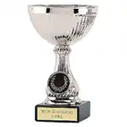 Silver Lake Silver Cup 13cm