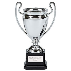 Silver Mirror Cup 21cm