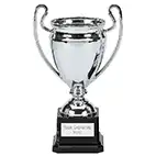 Silver Mirror Cup 17cm