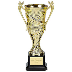 Gold Reno Cup Gold 16cm