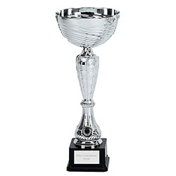 Silver Wave Cup 29cm