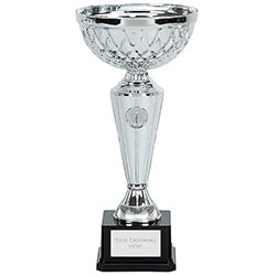 Silver Tweed Cup  34cm