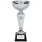 Silver Tweed Cup  34cm