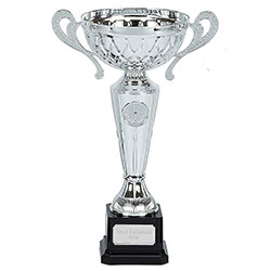 Silver Tweed Cup with Handles 28cm